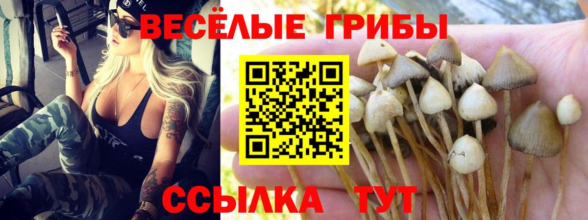 Псилоцибиновые грибы мицелий Гуково
